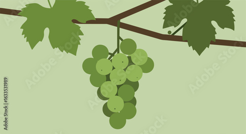 Branch with green grapes and leaves against light green