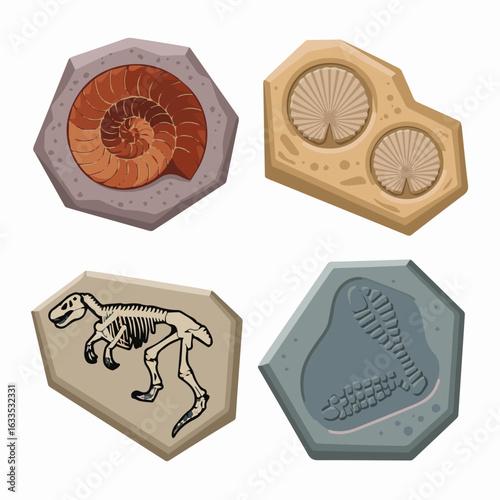 Fossils dinosaur bones paleontology archaeology, ancient history