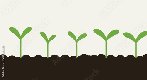 Seedlings Five green seedlings emerge from dark brown soil, against a light beige backdrop