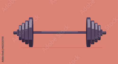 Barbell weight with plates of varying sizes