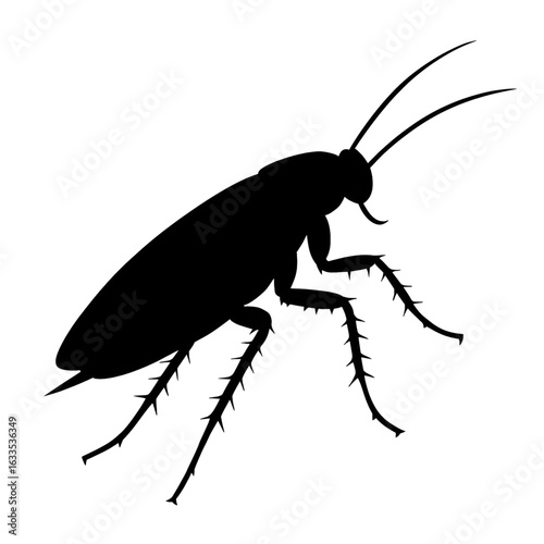 silhouette of a cockroach