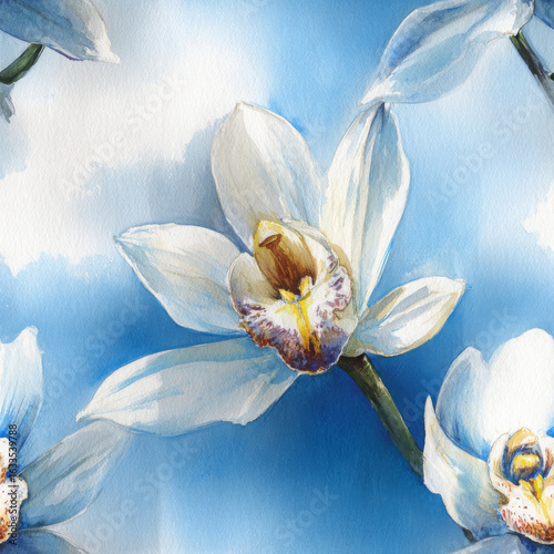 White orchid blossom is beautifully blooming, it is looking fabulous