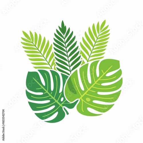 green leaf isolated