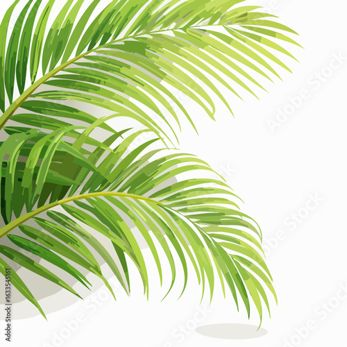 Lush green circular foliage scene ideal for wellness products, outdoor gear branding, and sustainable lifestyle marketing materials
