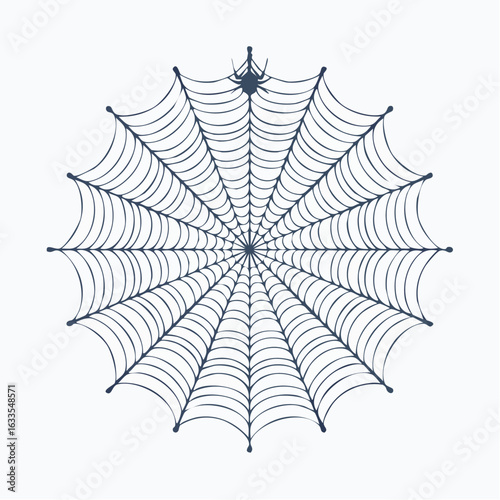 Minimalist circular icon showcasing a spider web network, designed for logos, websites, and editorial layouts
