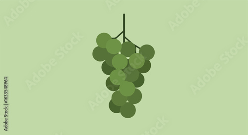 Simple illustration of green grapes on a light green background
