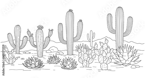 Hand drawn desert cacti and succulents landscape with mountains