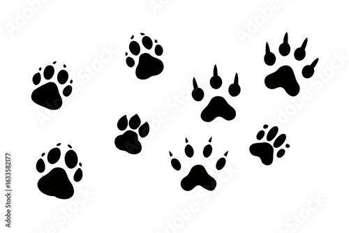Animals footprints, paw prints. Set of different animals and birds footprints and traces. Cat, lion, tiger, bear, dog, cow, pig, chicken, elephant, horse etc 