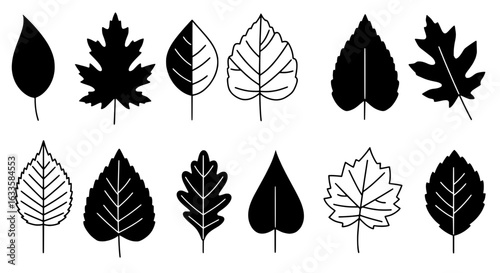 Diverse Leaves: A collection of stylistically diverse leaves, featuring various shapes and patterns, ready to add an element of natural beauty.