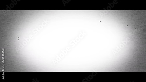 Cinemascope size (2.35:1) 2. Dark background noise like a horror movie (4K)