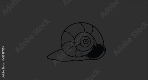 Line drawing of snail shell on grey backdrop