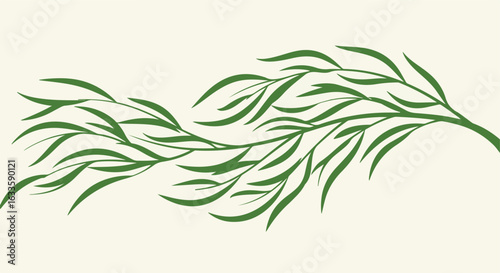 Green weeping willow branch on beige background