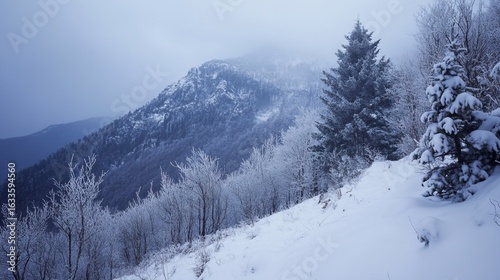 Wallpaper Mural Snowy mountain ridge with frosted trees Torontodigital.ca