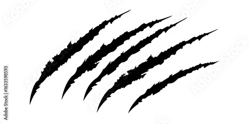 Claw scratch vector illustration. Set of cruel animal scratches horror and grunge concept in silhouette isolated on white background