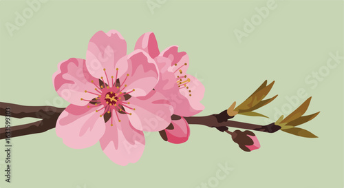 Blooming branch with pink flowers, emerging leaves, and buds