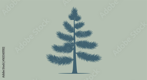Silhouette of a spiky fir tree on a neutral background