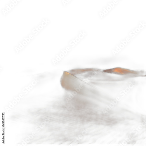 sand dunes in the desert