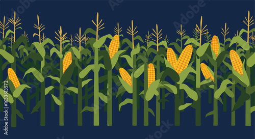 Corn field with stalks, tassels, and ears, flat graphic style on a blue background