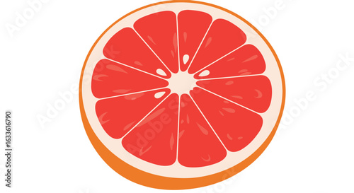 Vector slice of vibrant pink grapefruit, pulp sections radiating from center