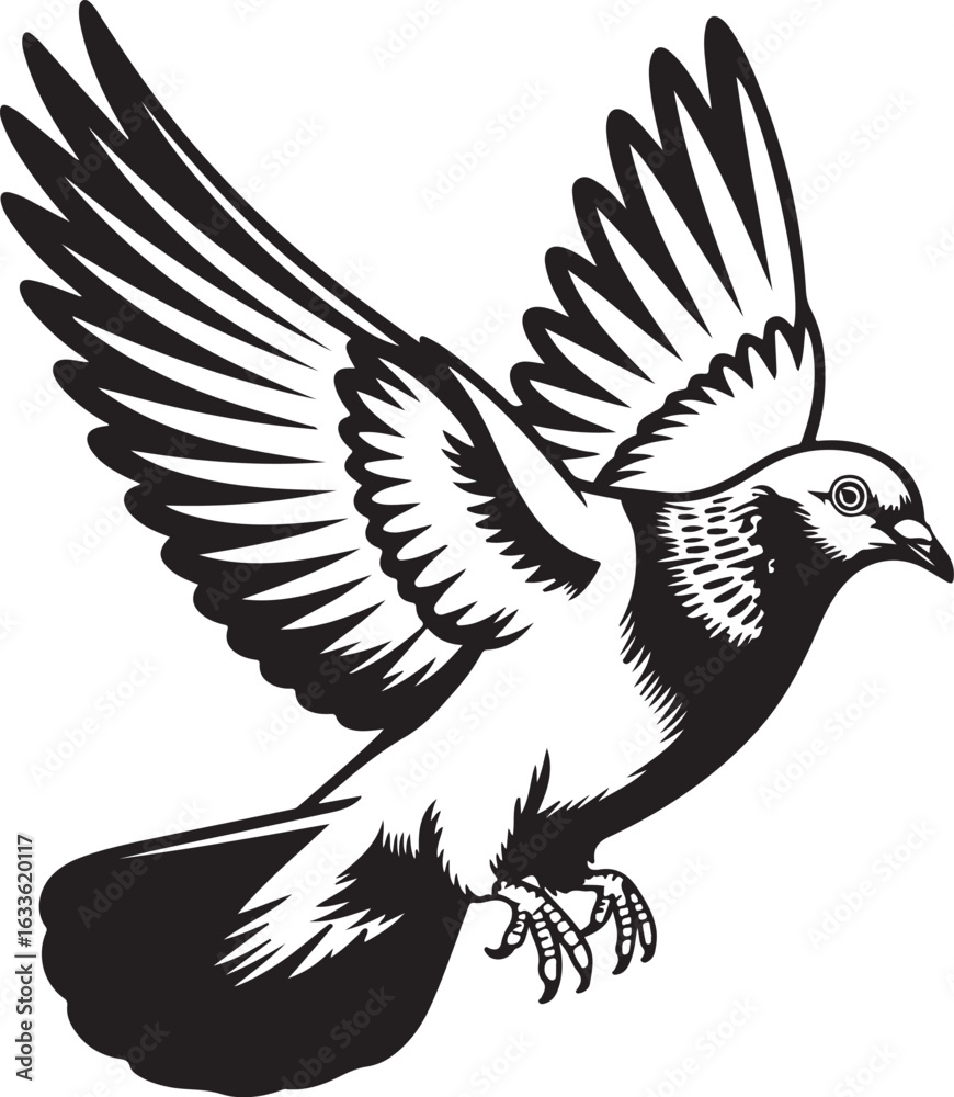 Fototapeta premium Flying pigeon bird side and front view vector illustration black and white contour line isolated on transparent background