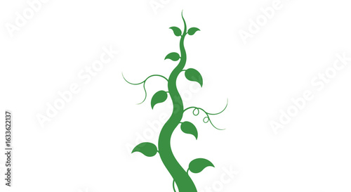 Green vine with leaves and tendrils on a white background, curving upwards
