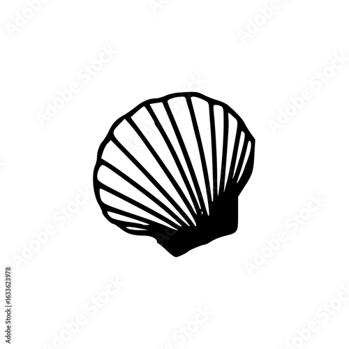 marine life shell icon