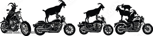 Four motorcycles each adorned with a goat in a black and white image