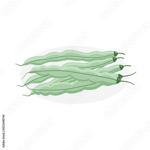 Fresh green bean vegetable icon vector illustration designed in a cartoon flat style. Healthy food concept design. Phaseolus vulgaris L.