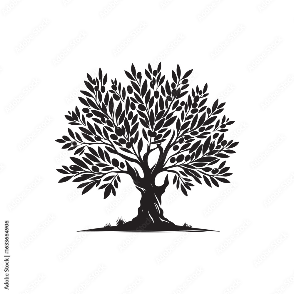 Obraz premium Olive Tree Vector (1).eps