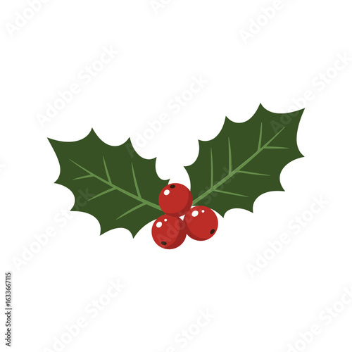 Christmas holly berry sprig vector illustration festive winter plant holiday decoration element