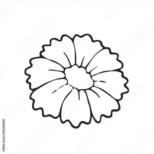 vector illustration of an abstract flower
