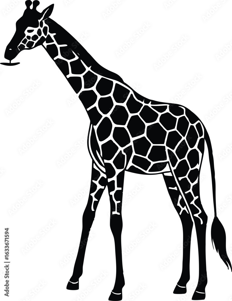 Naklejka premium Giraffe Drinking Silhouette Vector