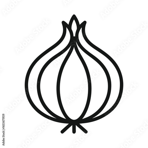 onion vector illustration