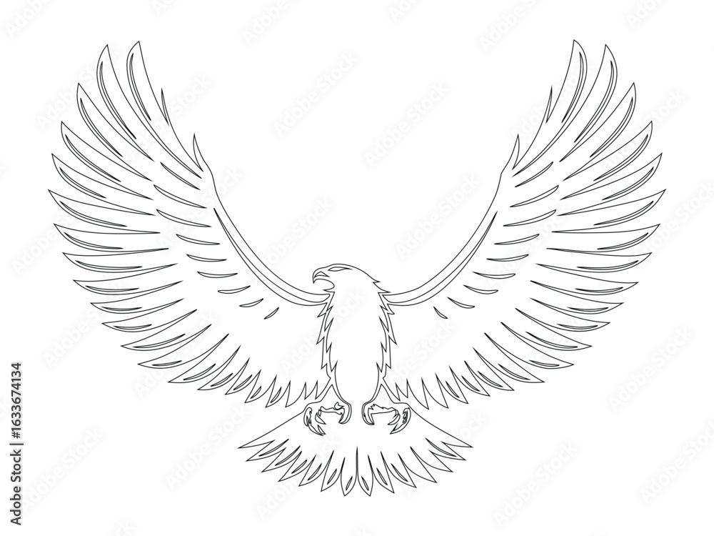 Fototapeta premium Eagle Wings Spread Outline