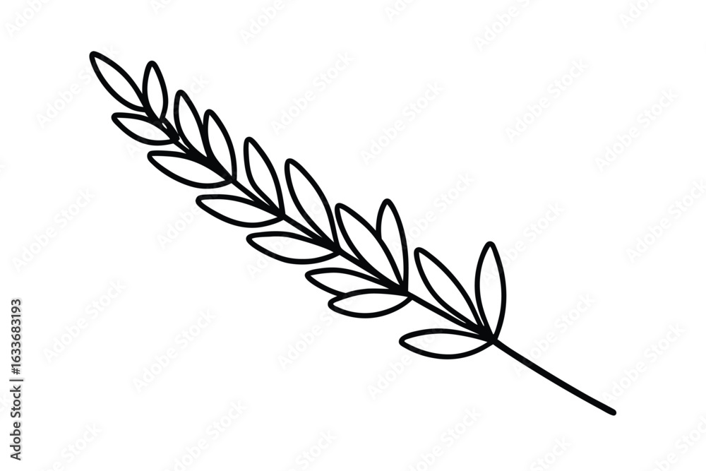 Fototapeta premium Elegant single lavender branch outline illustration in black and white on a clean background