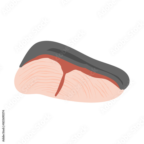 ブリの切り身　イラスト