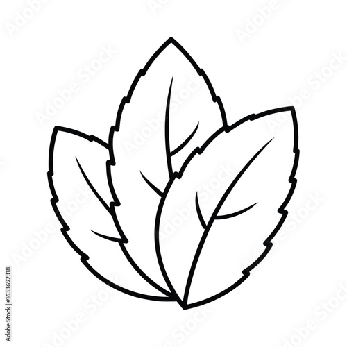 Simple mint leaf outline illustration with a clean white background for various design applications