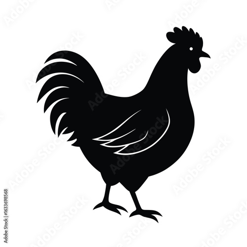chicken, chicken silhouette, chicken outline, chicken bird, chicken farm, chicken hen