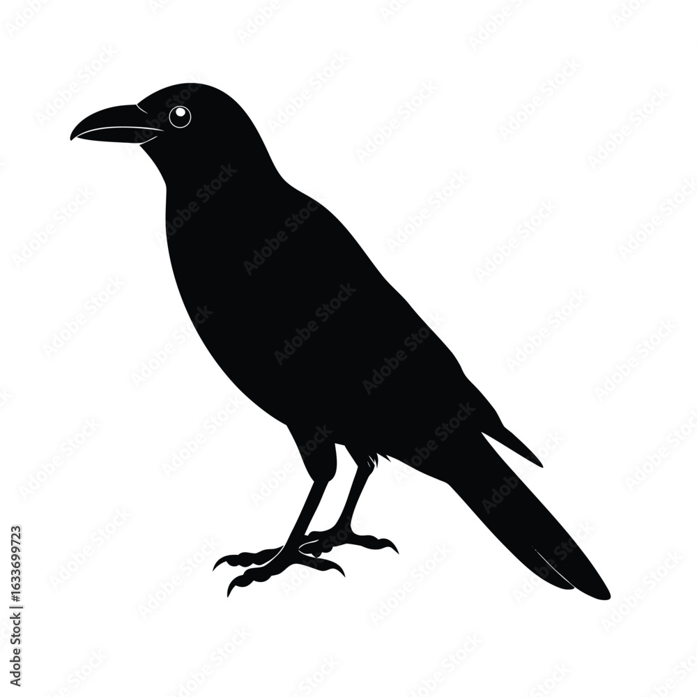 Fototapeta premium crow silhouette, black bird icon, flying crow figure, perched crow outline, spooky bird shape,