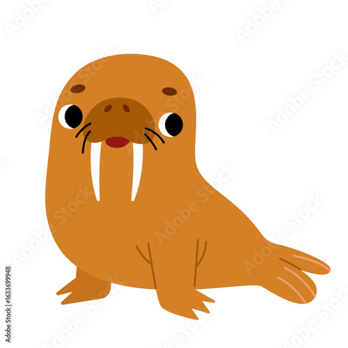 Cute cartoon walrus with tusks. Color vector character on white background for kids designs about sea and ocean and for educational materials.