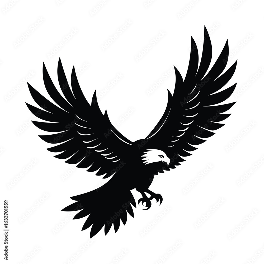 Fototapeta premium eagle, bird, wings, raptor, predator, talons, beak, feather, flight, soar, sky, hunting, wild,