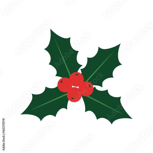 Christmas holly sprig with red berries festive winter foliage isolated on white background