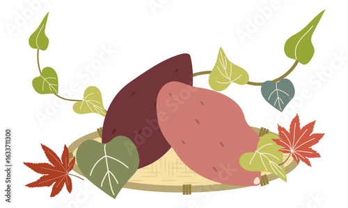 収穫したサツマイモのイラスト