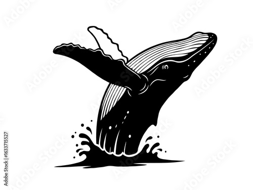 Humpback Whale Breaching: Black and White Illustration