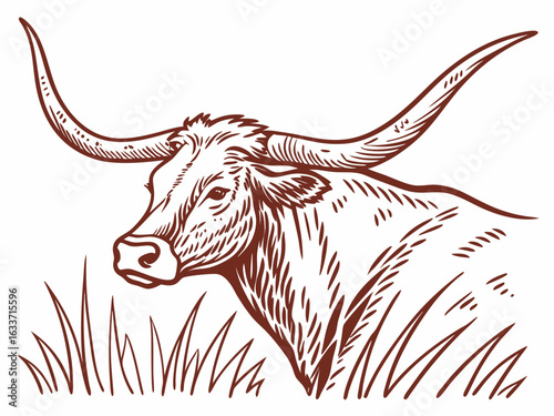Vintage Line Art Illustration of a Longhorn Cattle Head in a Field . A detailed, vintage-style line drawing of a longhorn cattle head emerging from tall grass.