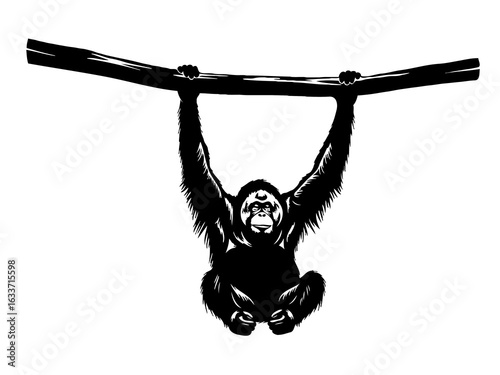 Orangutan Hanging from Branch Silhouette