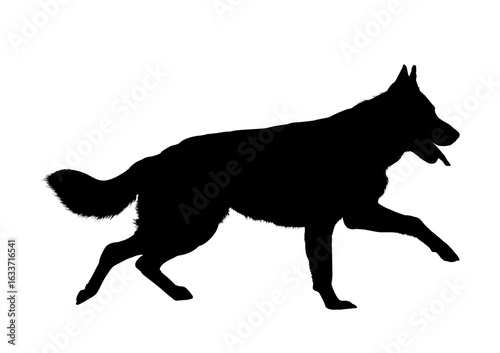 Running german shepherd silhouette vector illustration