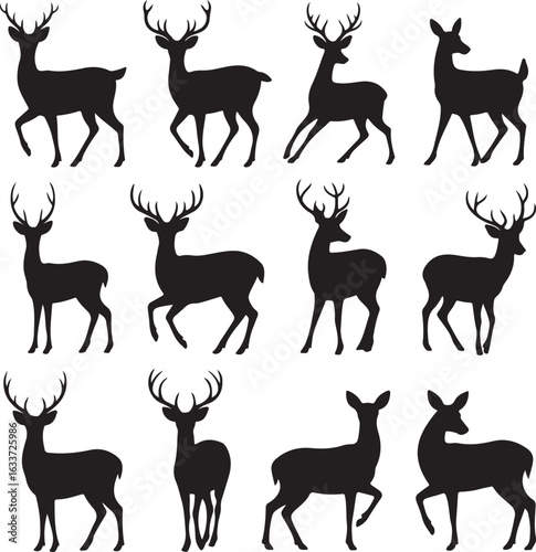 Graphic black silhouettes of wild deers – male, female and roe deer