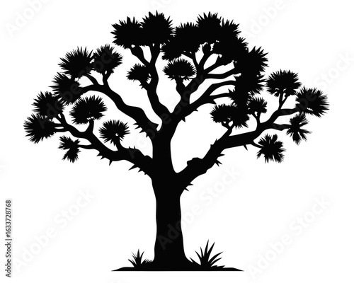 joshua tree  black silhouette vector,joshua tree  icon