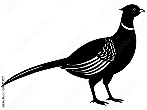 pheasant bird,pheasant black silhouette vector illustration